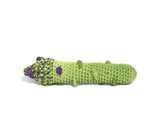 Natural organic toy