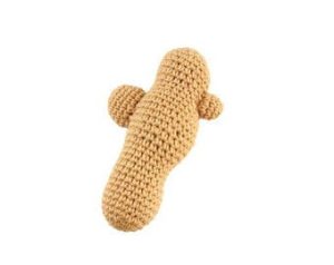 Ginger root