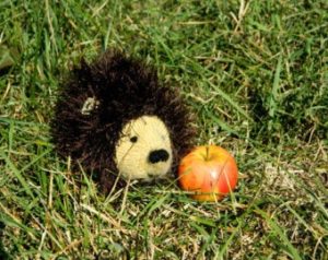 Hedgehog Toy
